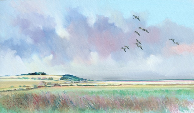 [September Greylags, Salthouse]
