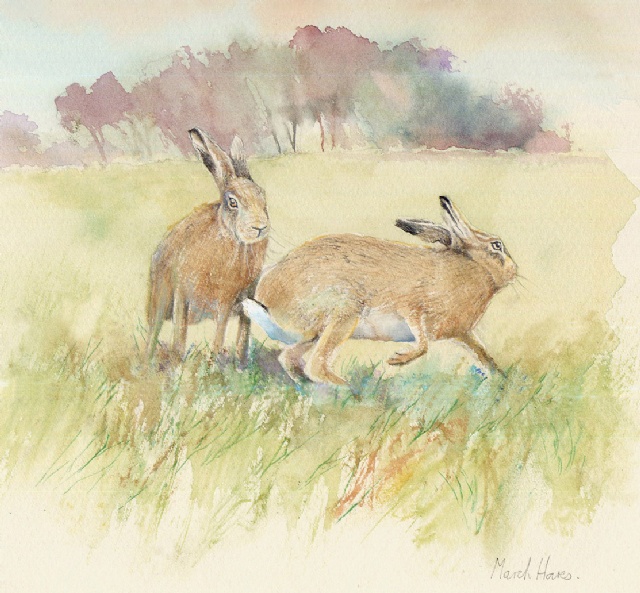 [March hares]