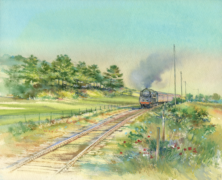 July on The Poppyline