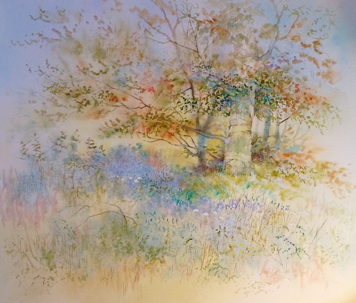 Norfolk Bluebell Shadows