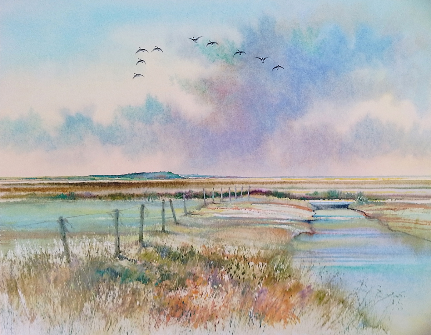 Brents Following the Fenceline, Salthouse