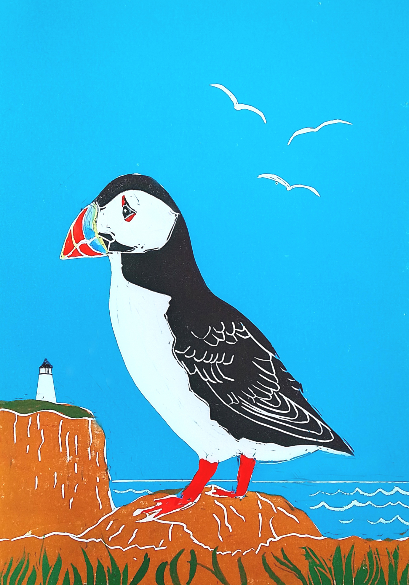 Clifftop Puffin