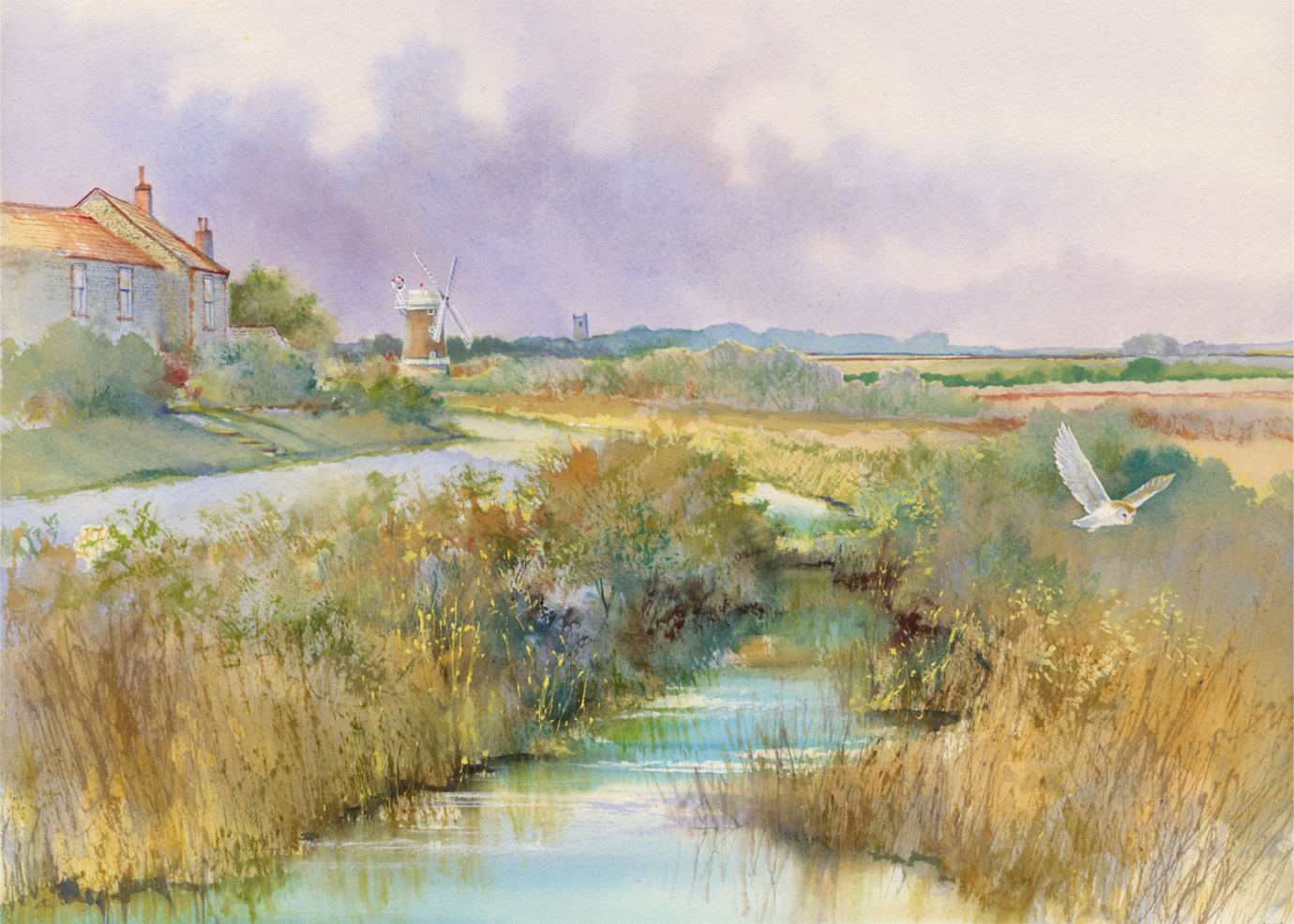 Evening Light Cley Marshes