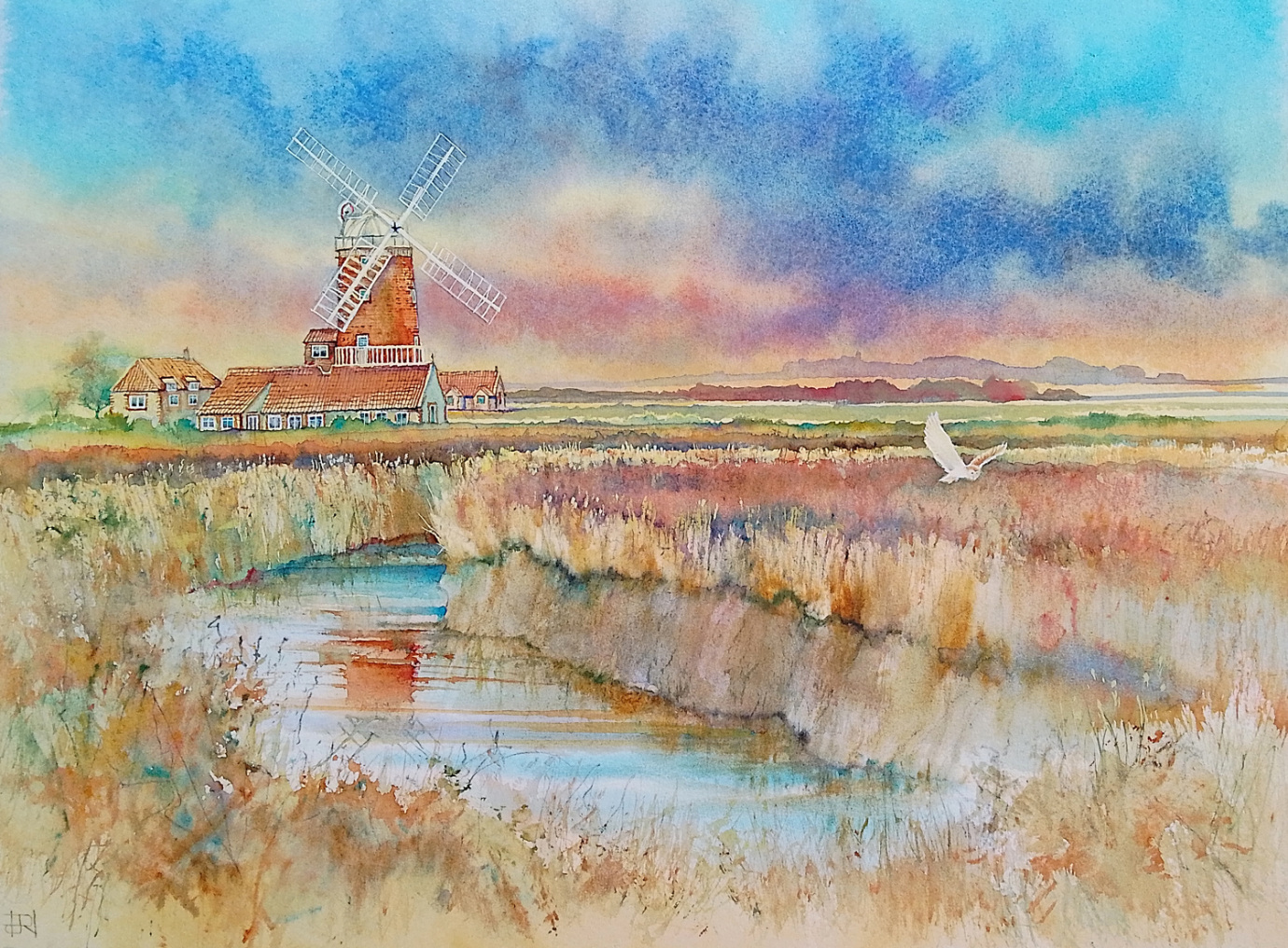 Evening Marsh Hunter