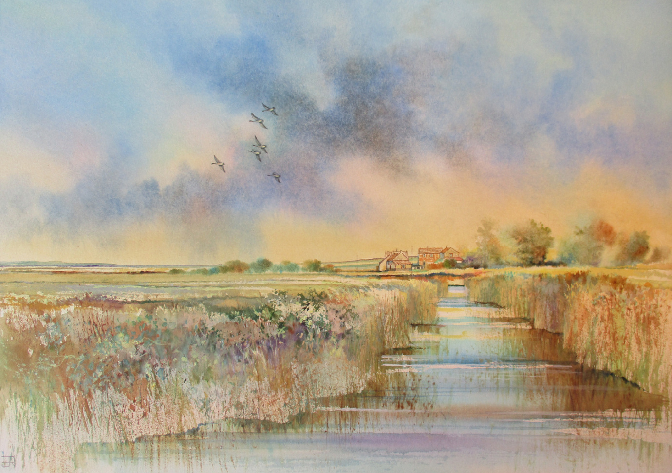 Salthouse Greylags Arrive